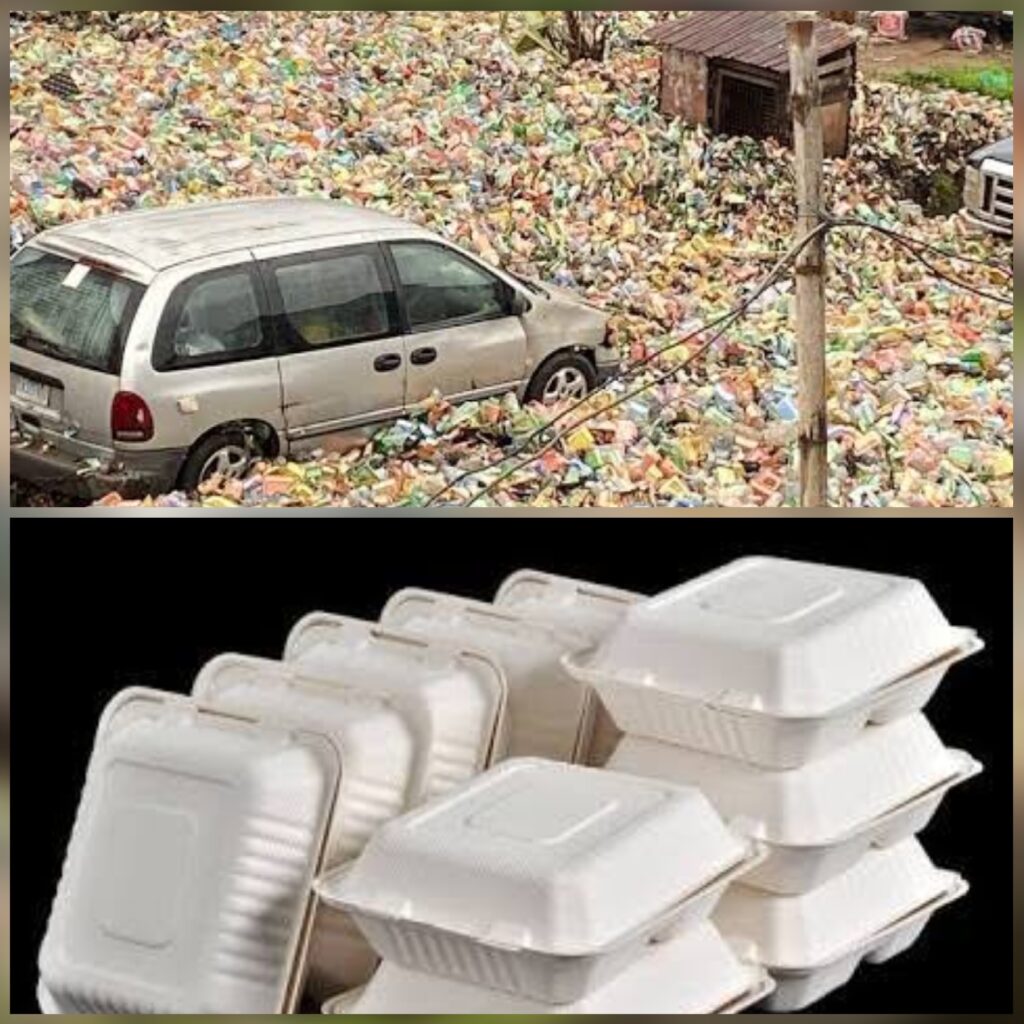 Usage And Distributions of Styrofoam, Single Use Plastics Ban In Lagos State